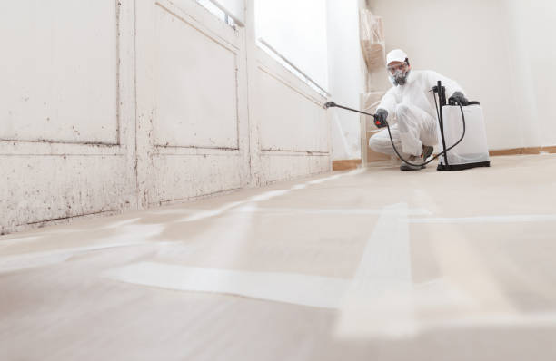 24/7 Emergency Crawl Space Mold Removal experts in Springfield, IL